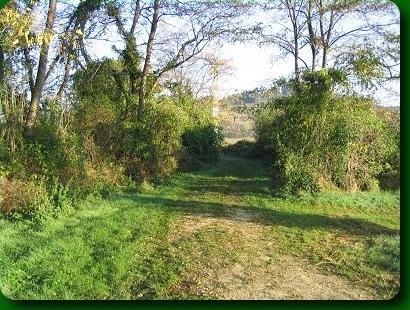le chemin de Senesse