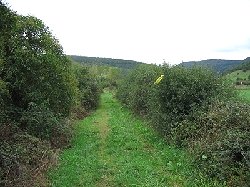 la piste est parfois herbeuse 