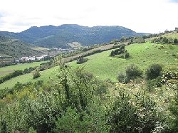 qui cheminent sur le flanc des coteaux