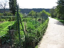 puis prs de potagers